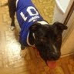 Meet your Posher, Leopoldo